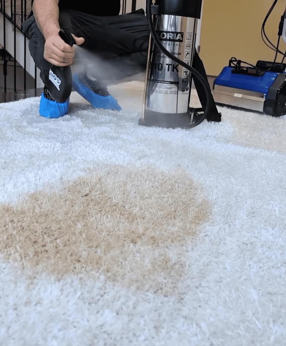 Tjänst för fläckborttagning på mattor